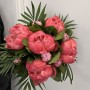 PIVOINES