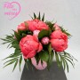 PIVOINES