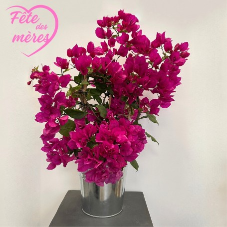 BOUGAINVILLIER