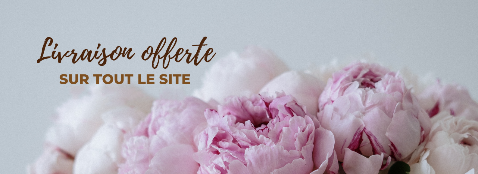 LIVRAISON OFFERTE FDM