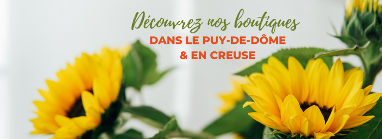 Marche Aux Fleurs Specialiste Des Fleurs Coupees Sur Le Secteur Auvergnat